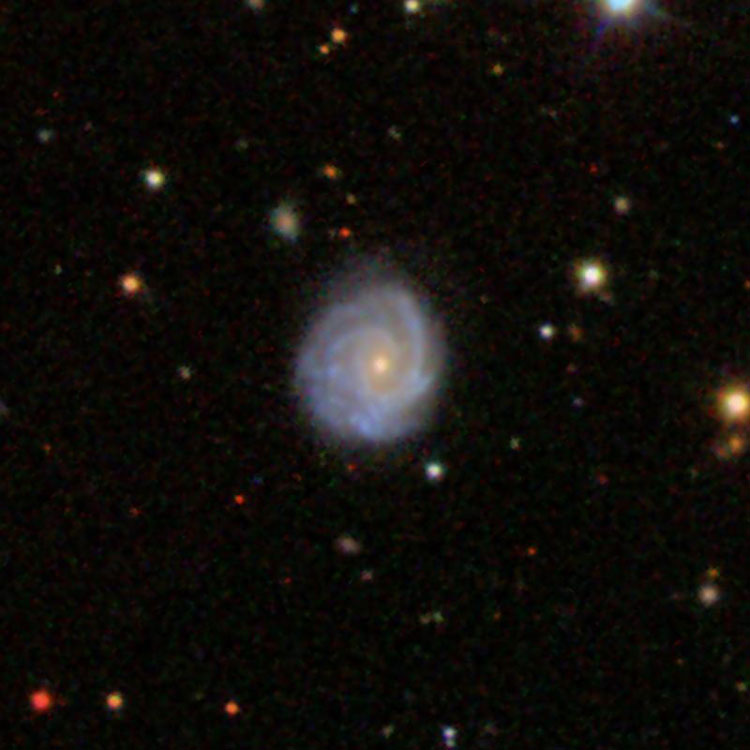 SDSS image of spiral galaxy IC 479