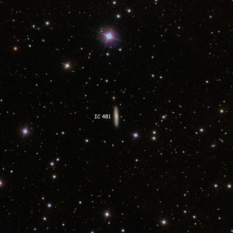 SDSS image of region near spiral galaxy IC 481