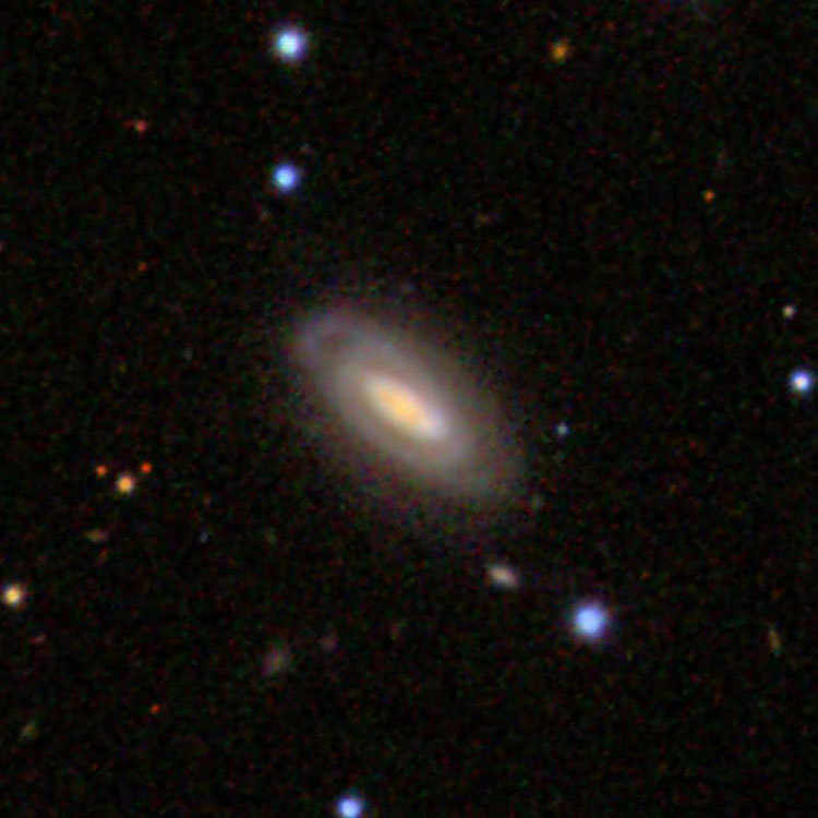 SDSS image of spiral galaxy IC 484
