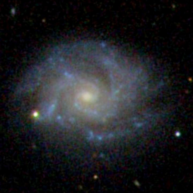 SDSS image of spiral galaxy IC 49