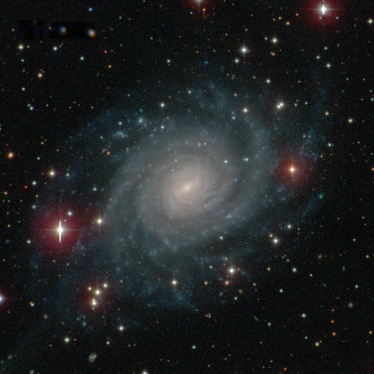 Carnegie-Irvine Galaxy Survey image of spiral galaxy IC 4901