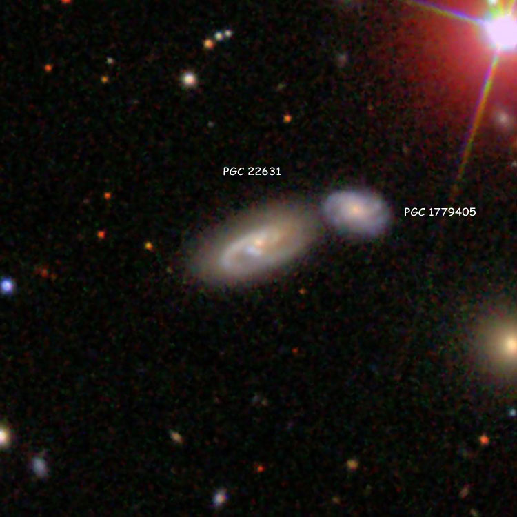 SDSS image of spiral galaxy PGC 22631, which is certainly part or all of IC 491, and spiral galaxy PGC 1779405, which may or may not be part of the IC object