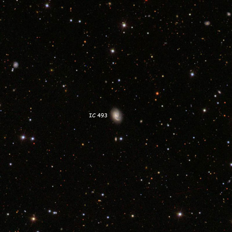 SDSS image of region near spiral galaxy IC 493