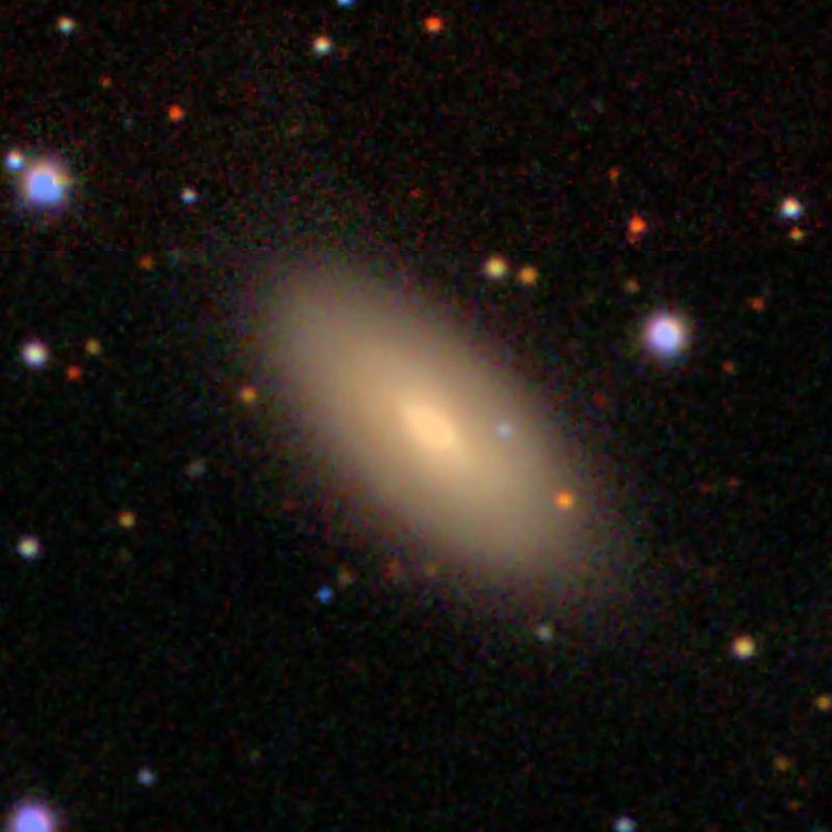 SDSS image of spiral galaxy IC 494