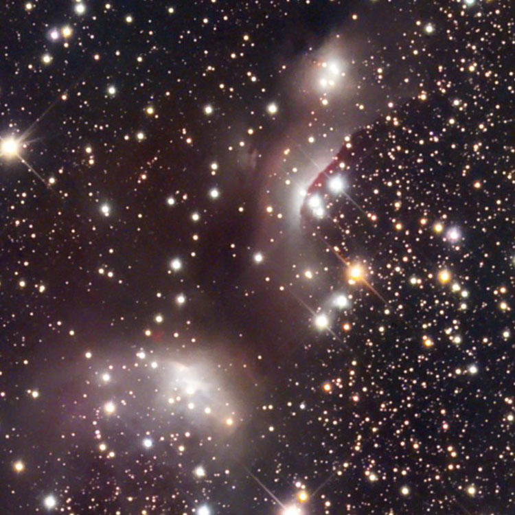 NOAO image of region near reflection nebulae IC 4954 and IC 4955