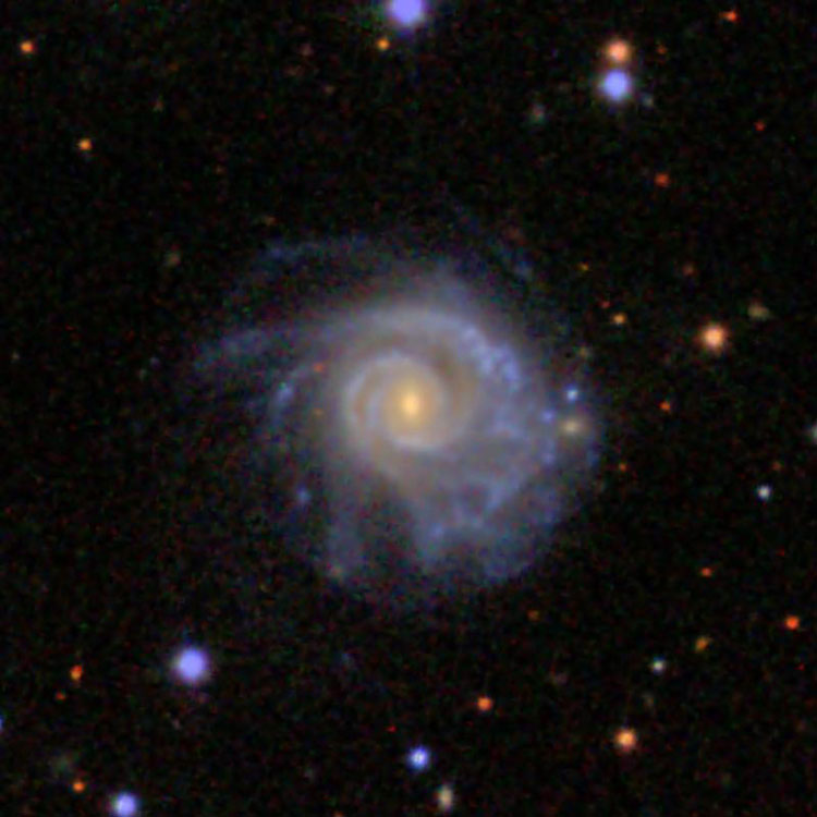 SDSS image of spiral galaxy IC 498