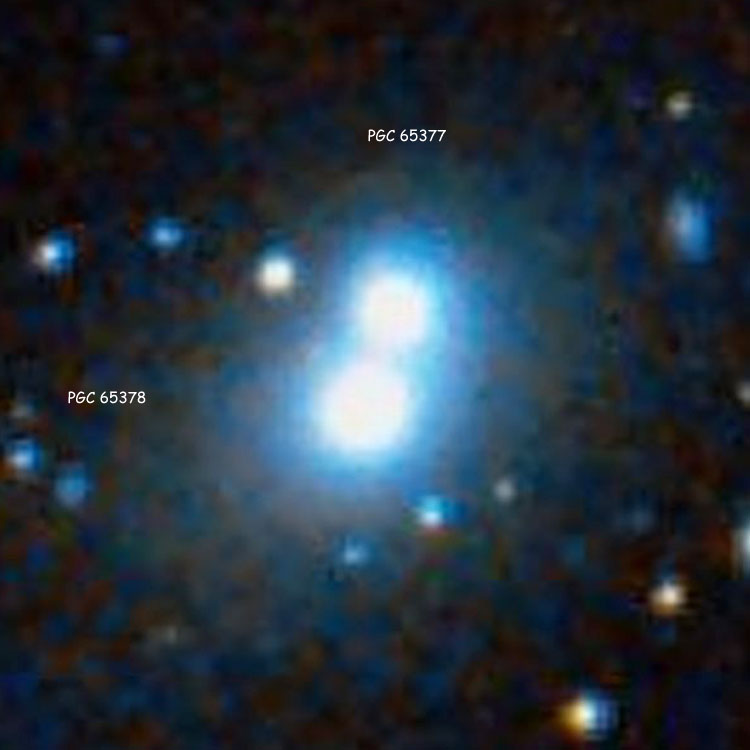 DSS image of elliptical galaxies PGC 65378 and 65377, which probably comprise IC 5049