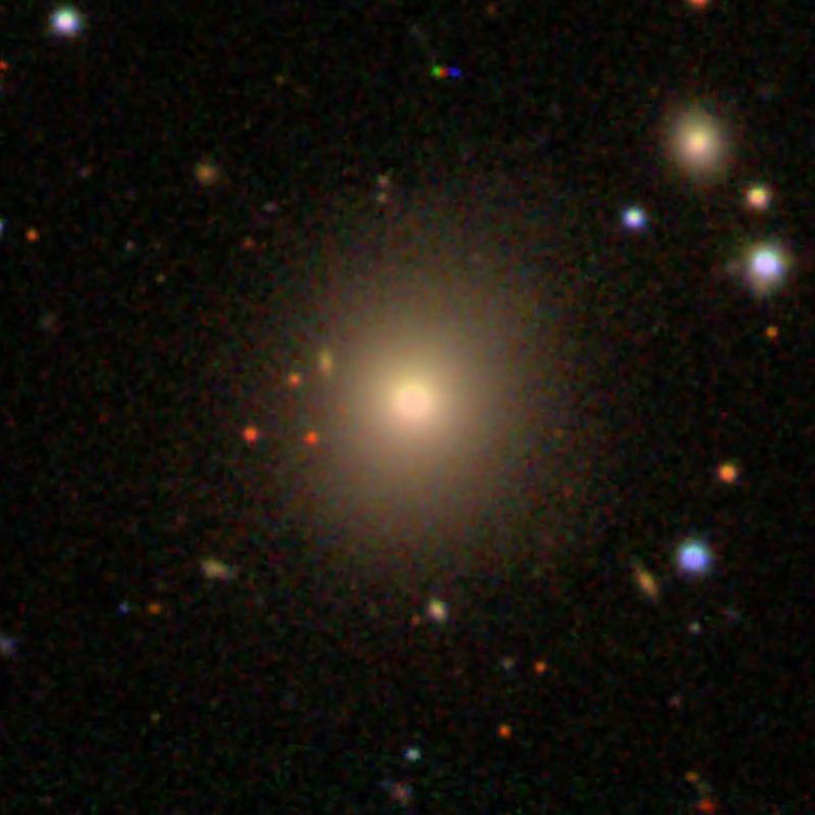 SDSS image of elliptical galaxy IC 506