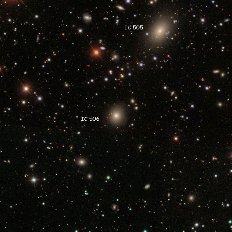 SDSS image of elliptical galaxy IC 506, also showing lenticular galaxy IC 505
