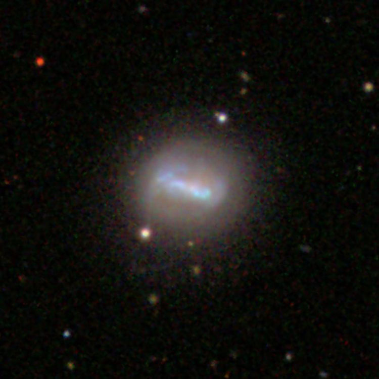 SDSS image of spiral galaxy IC 508