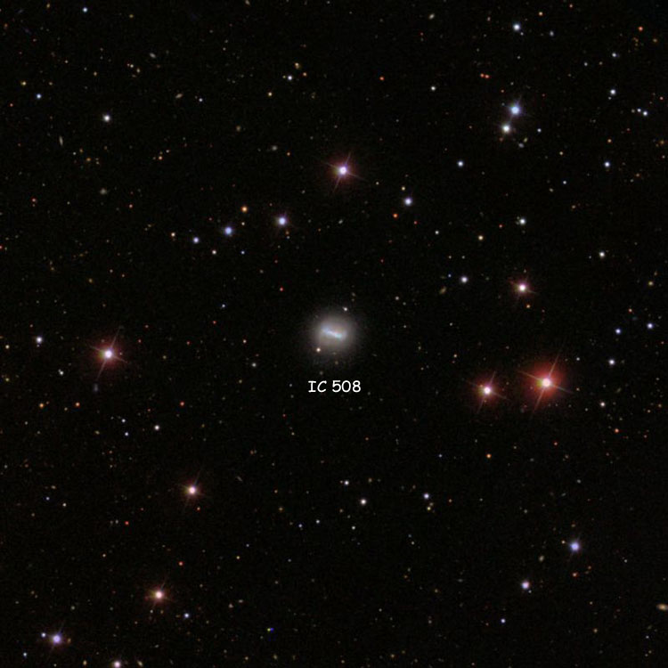 SDSS image of region near spiral galaxy IC 508