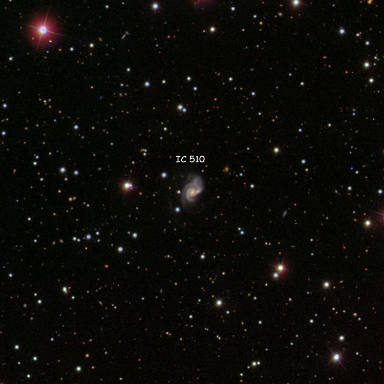 SDSS image of region near spiral galaxy IC 510