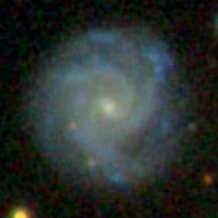 SDSS image of spiral galaxy IC 5126