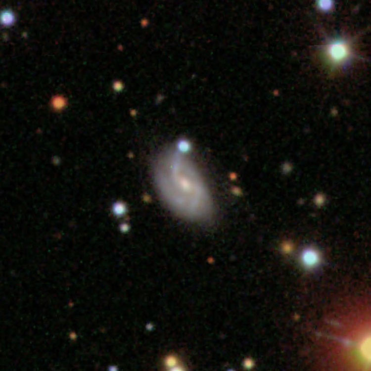 SDSS image of spiral galaxy IC 517