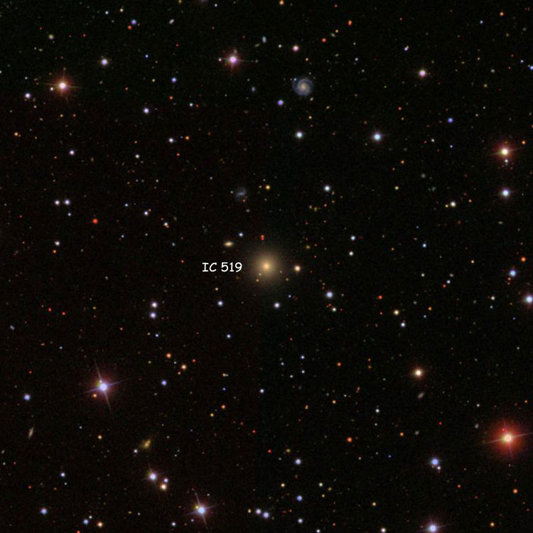 SDSS image of elliptical galaxy IC 519
