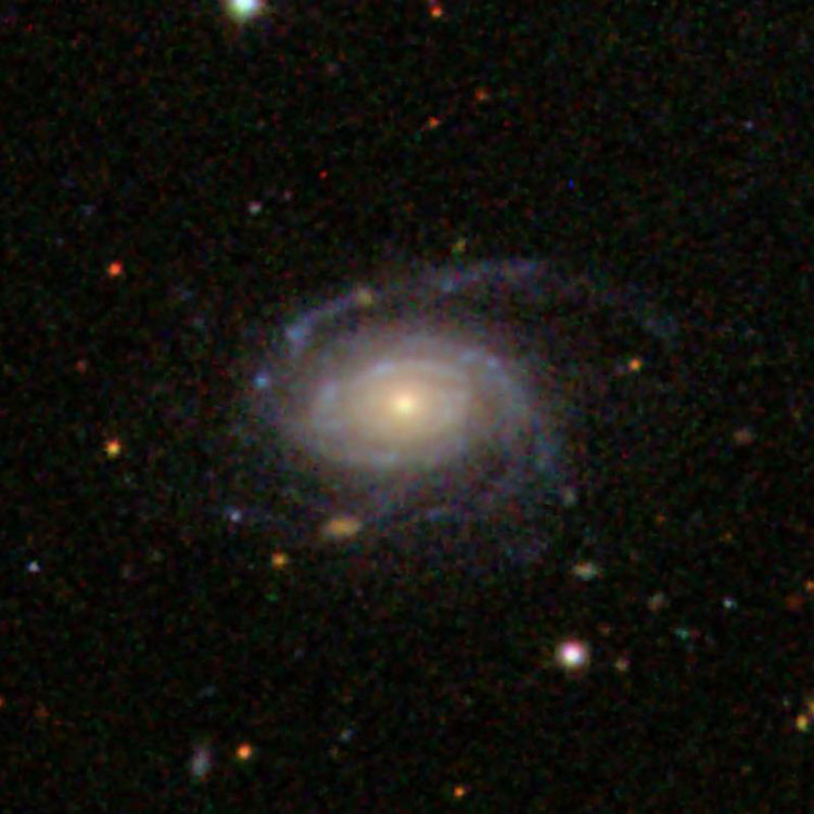SDSS image of spiral galaxy IC 523