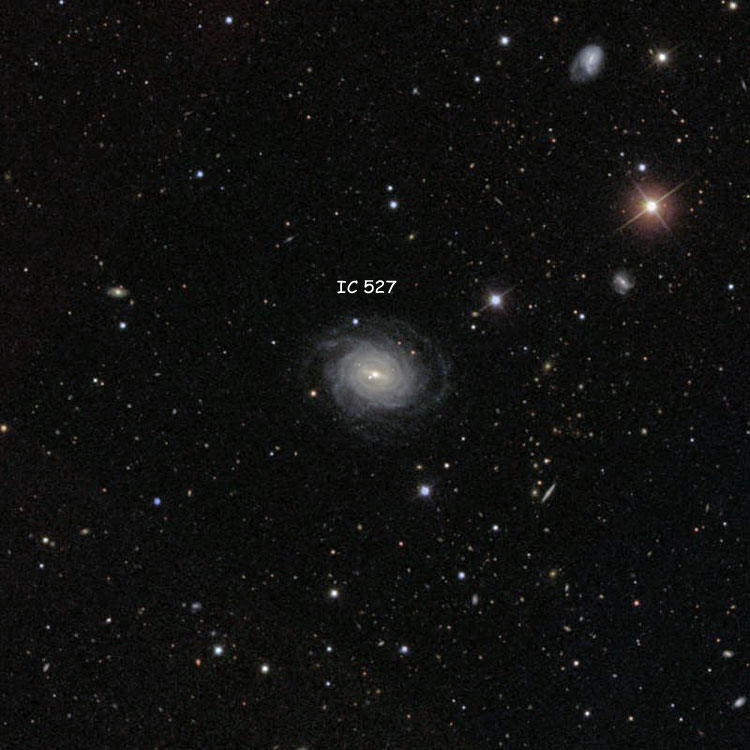 SDSS image of region near spiral galaxy IC 527