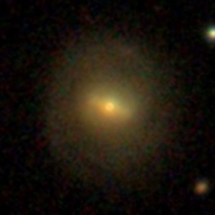 SDSS image of lenticular galaxy IC 5295