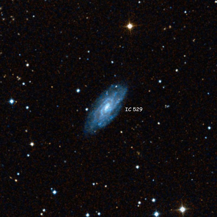 DSS image of region near spiral galaxy IC 529