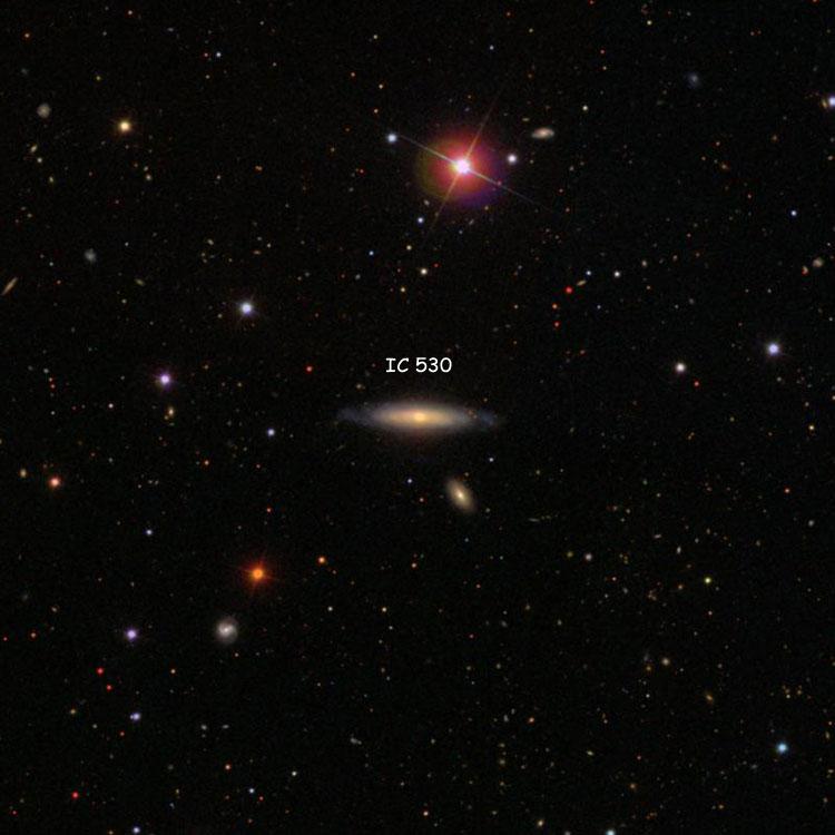 SDSS image of region near spiral galaxy IC 530