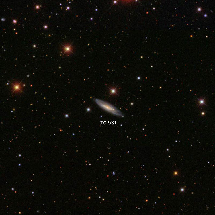 SDSS image of region near spiral galaxy IC 531