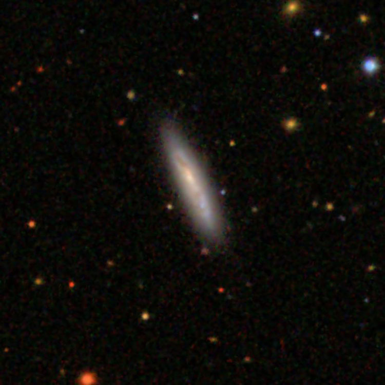 SDSS image of spiral galaxy IC 544