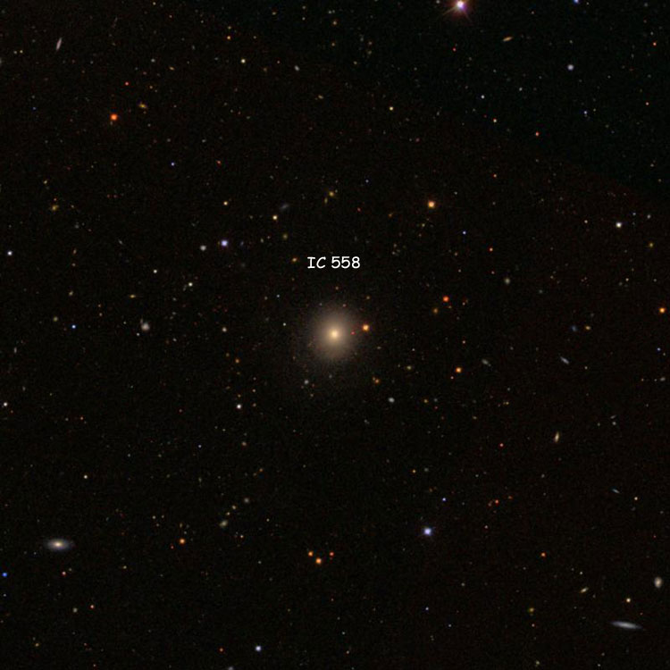 SDSS image of region near elliptical galaxy IC 558