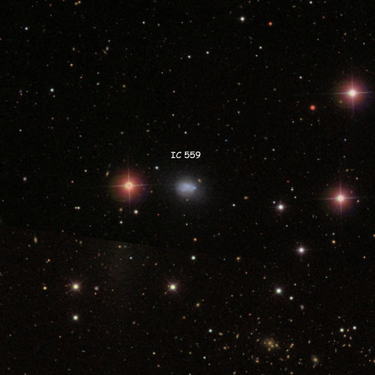 SDSS image of region near spiral galaxy IC 559