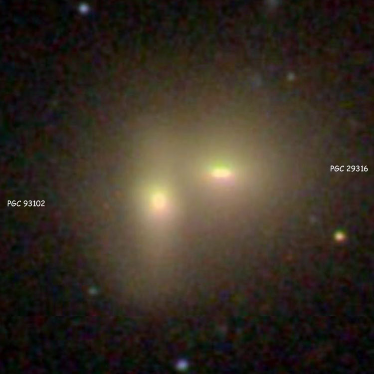 SDSS image of PGC 29316 and PGC 93102, the pair of lenticular galaxies that comprise IC 590