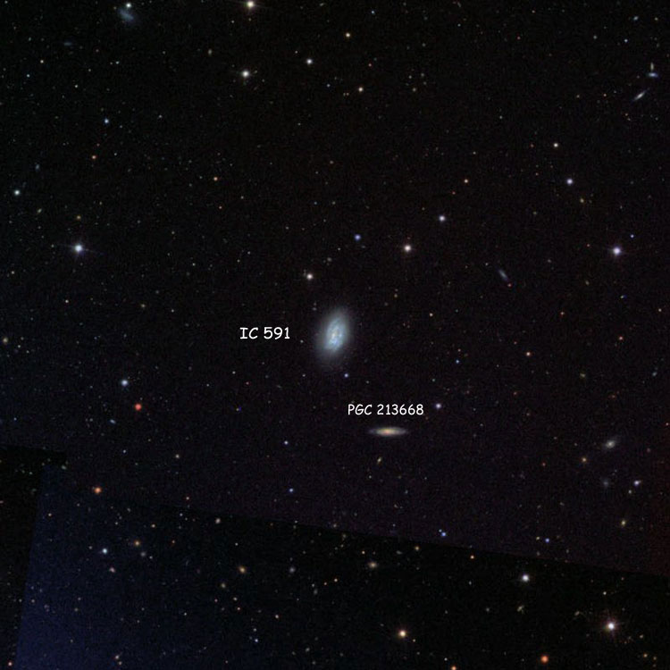 SDSS image of region near spiral galaxy IC 591