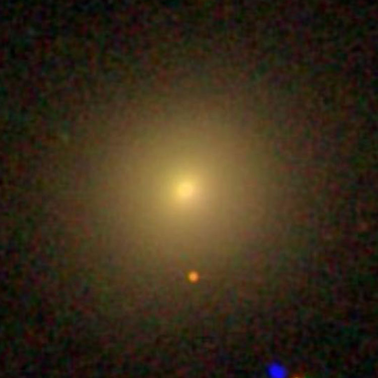 SDSS image of elliptical galaxy IC 6