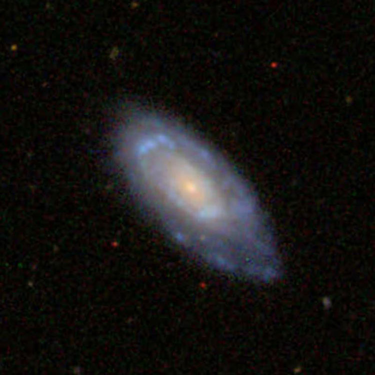SDSS image of spiral galaxy IC 677