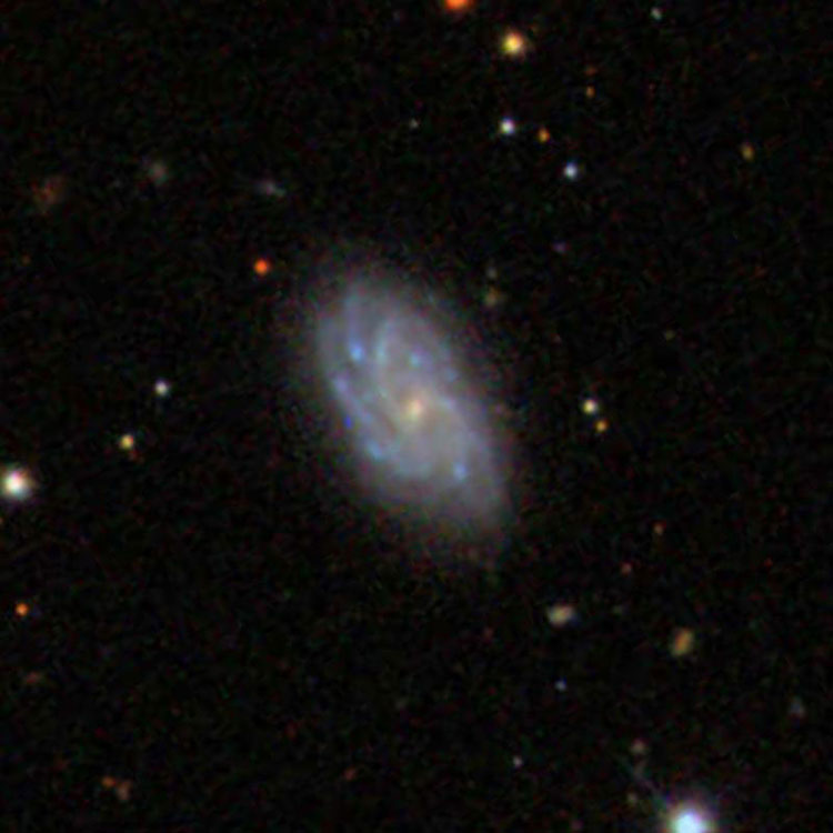 SDSS image of spiral galaxy IC 681