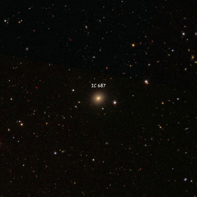 SDSS image of region near lenticular galaxy IC 687