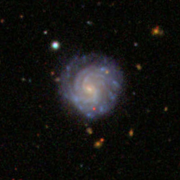 SDSS image of spiral galaxy IC 696
