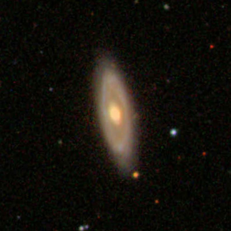 SDSS image of spiral galaxy IC 699