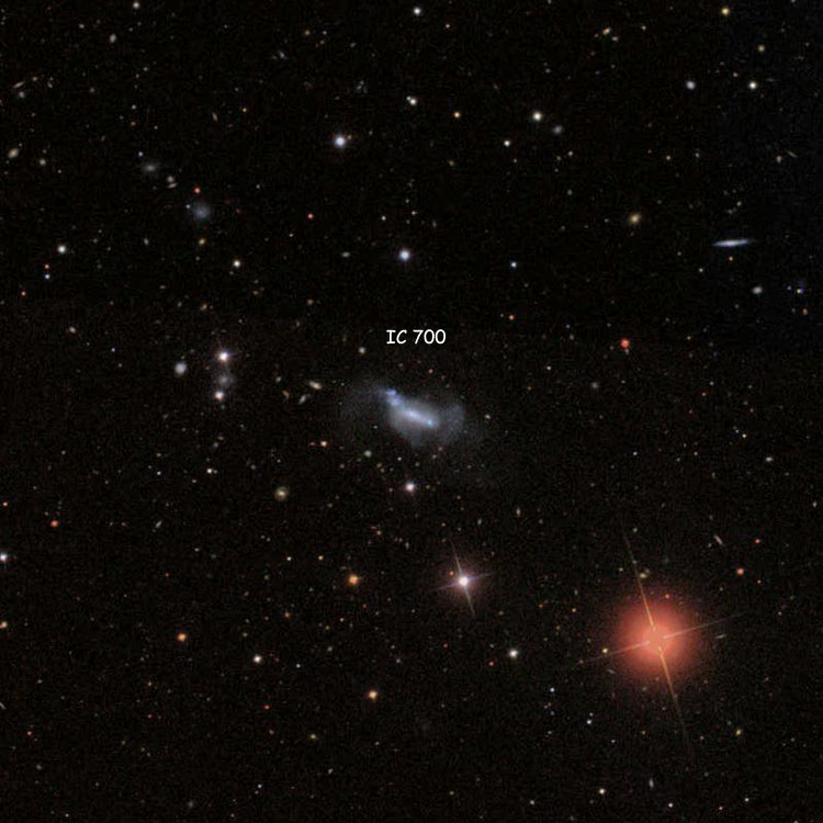 SDSS image of region near spiral galaxy IC 700