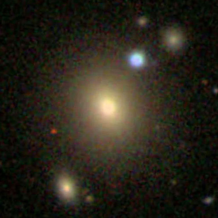 SDSS image of elliptical galaxy IC 709