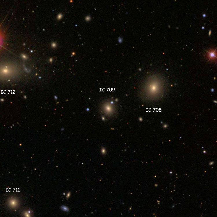 SDSS image of region near elliptical galaxy IC 709, also showing IC 708, IC 711 and IC 712
