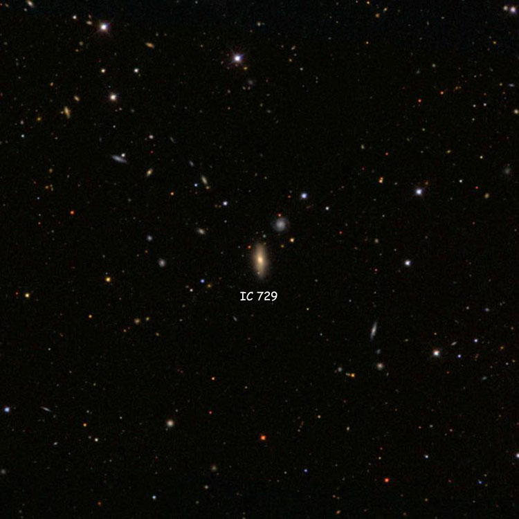 SDSS image of region near lenticular galaxy IC 729