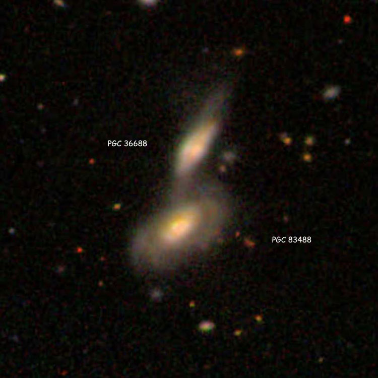 SDSS image of spiral galaxies PGC 36688 and 83488, which comprise IC 732