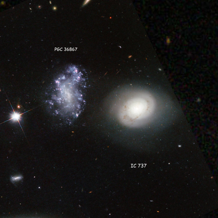 HST image of spiral galaxy IC 737 and irregular galaxy PGC 36867, which is often misidentified as IC 737, superimposed on an SDSS image to fill in missing areas
