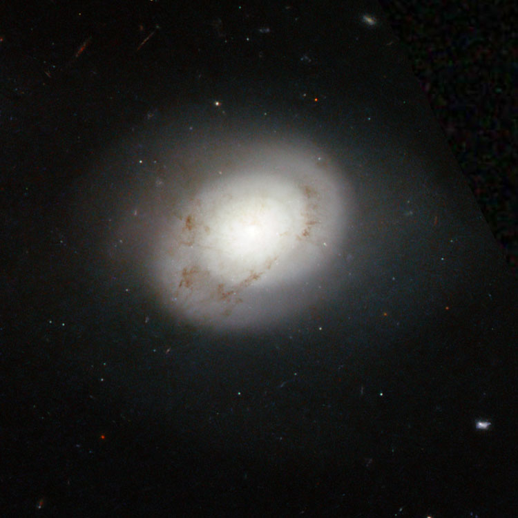 HST image of spiral galaxy IC 737