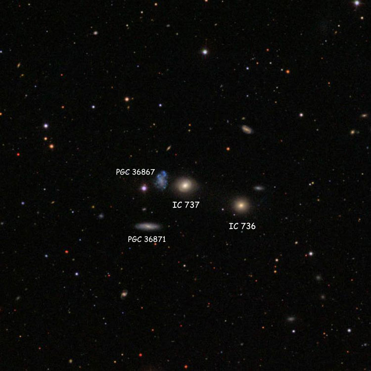 SDSS image of region near spiral galaxy IC 737, also showing the other members of Hickson Compact Group 59