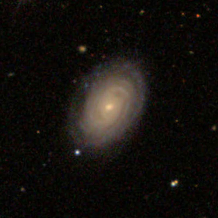 SDSS image of spiral galaxy IC 739