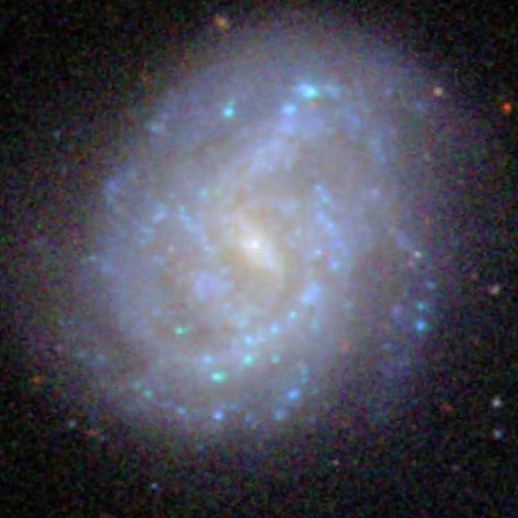 SDSS image of spiral galaxy IC 749