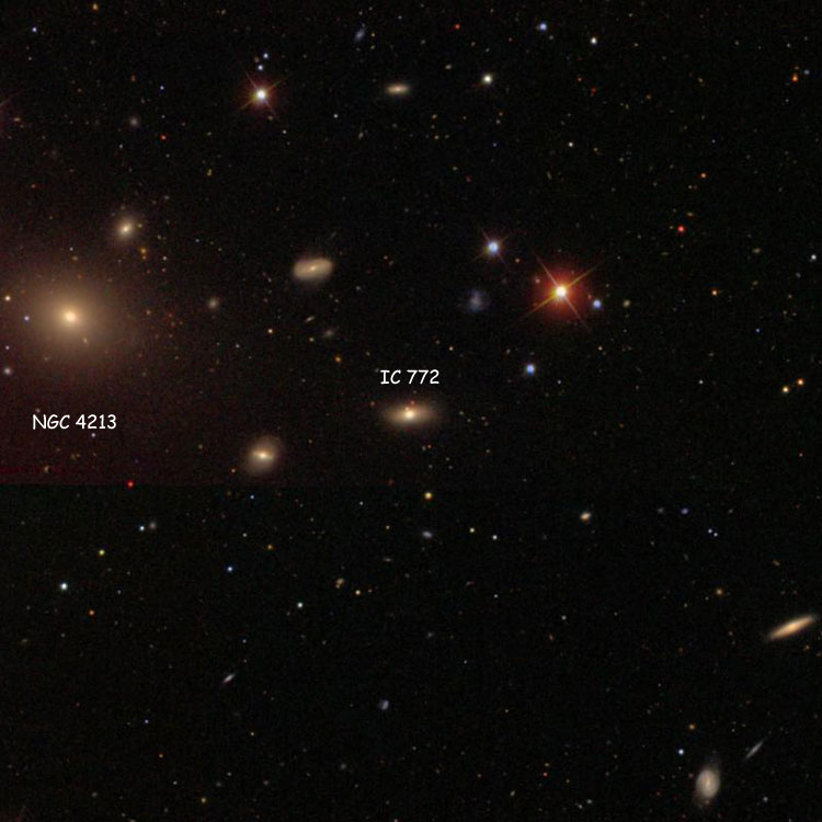 SDSS image of region near lenticular galaxy IC 772, also showing NGC 4213