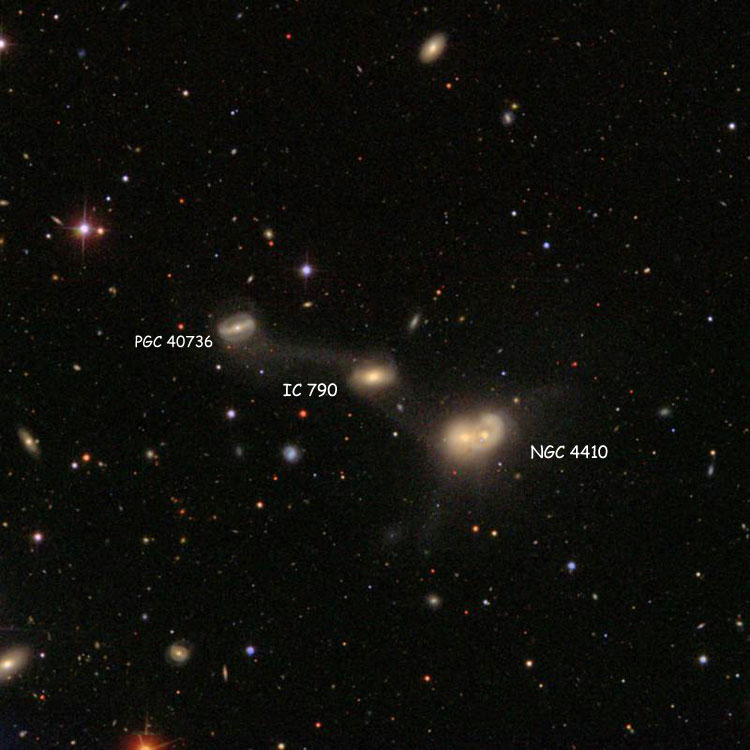 SDSS image of region near elliptical galaxy IC 790, also showing NGC 4410 and PGC 40736, which are interacting with IC 790
