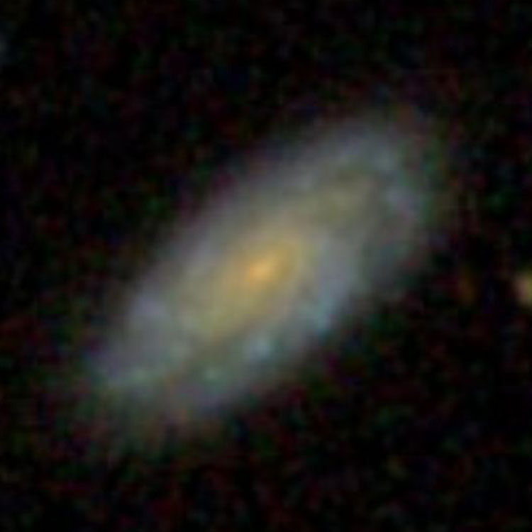SDSS image of spiral galaxy IC 8