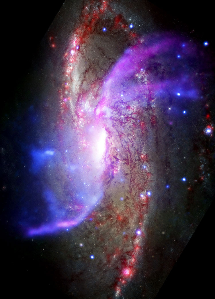 Composite Chandra/HST image of spiral galaxy NGC 4258, also known as M106